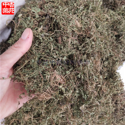 中药材新鲜鹅不食草