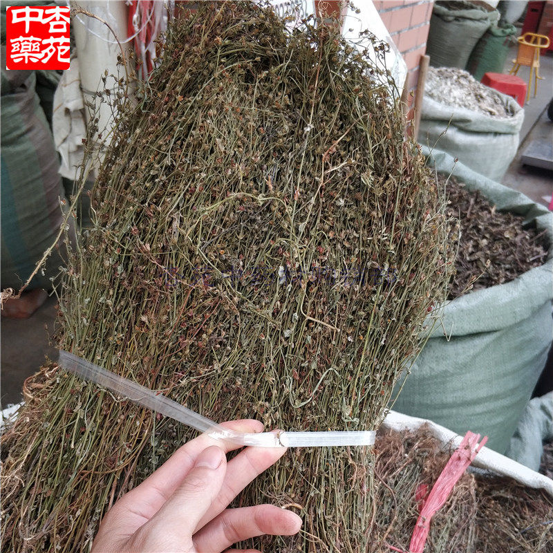 田基黄整株中药材