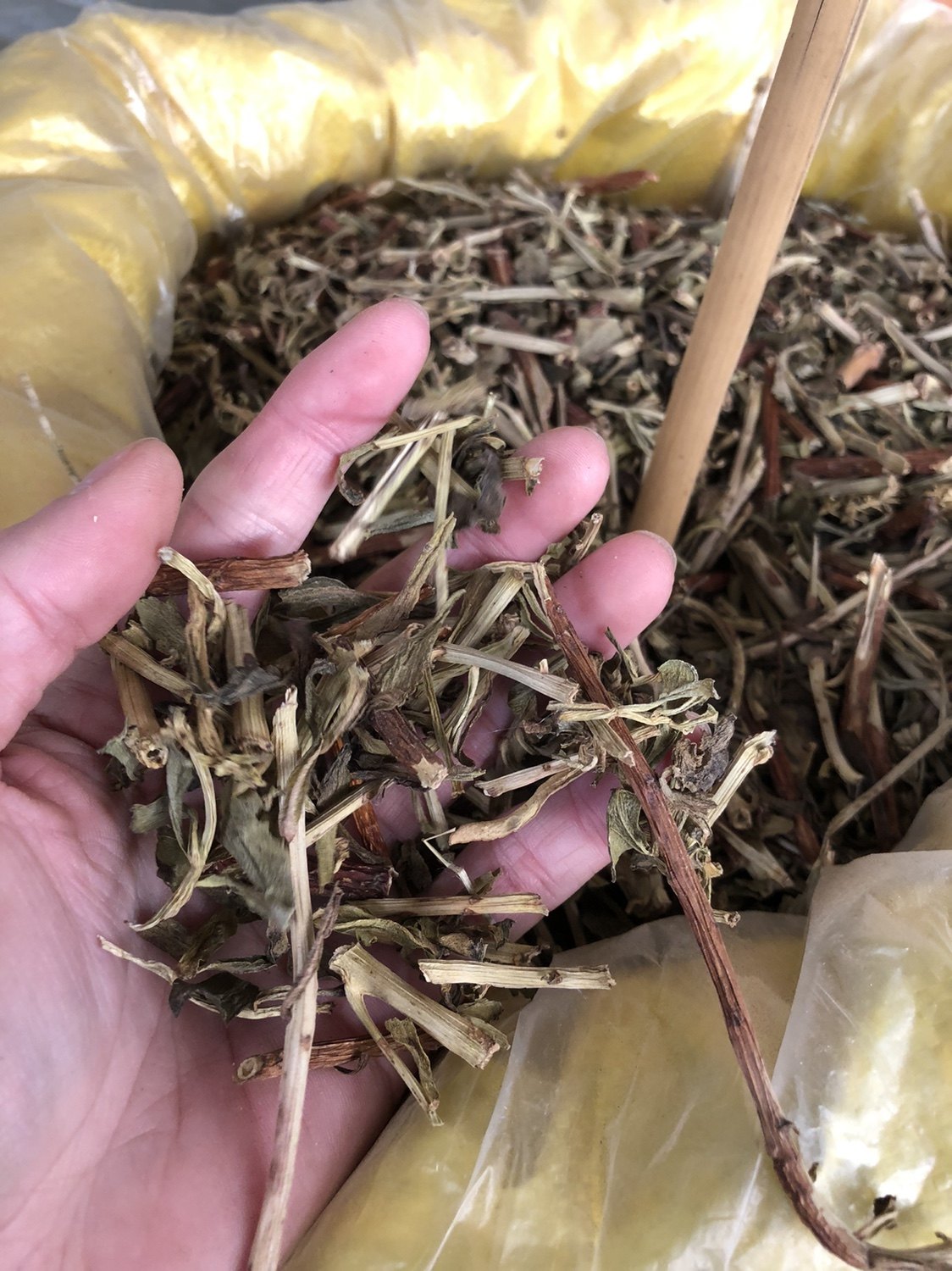 中药材景天三七500克包邮  土三七旱三七血山草六月淋