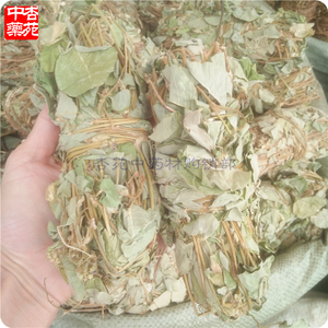 新鲜干品大叶金钱草1000g干结石肾广金钱草泡水冲剂溶石