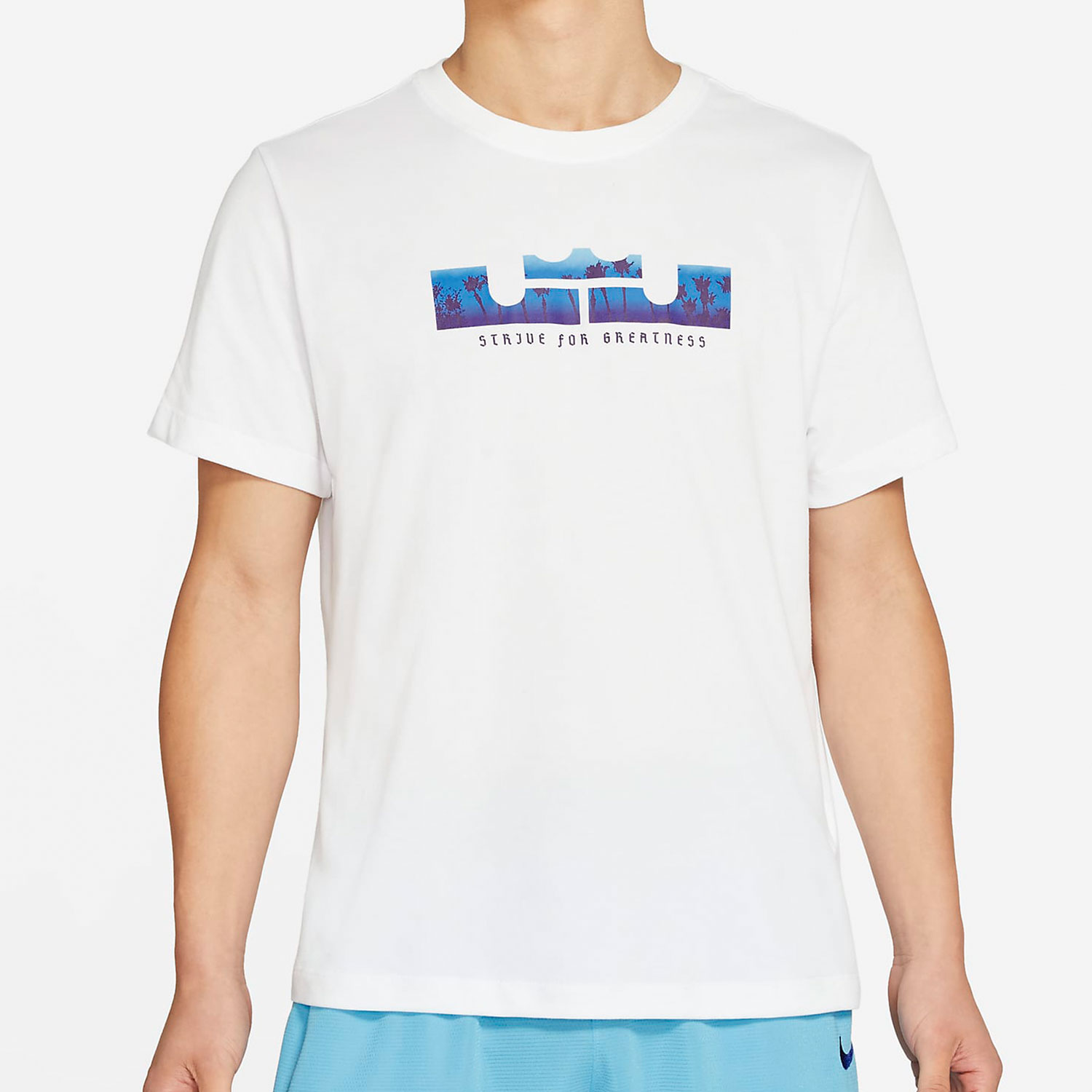 Nike/耐克正品新款詹姆斯篮球训练男子运动半袖 DB6179-100