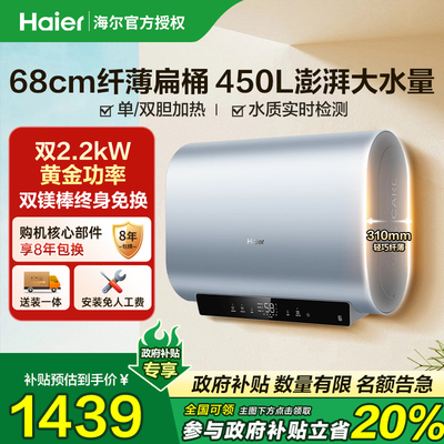 海尔电热水器双胆扁桶家用