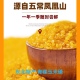 米饭伴侣 2025年新 东北特产 黄金玉米碴 大碴粥 青稞玉米碴