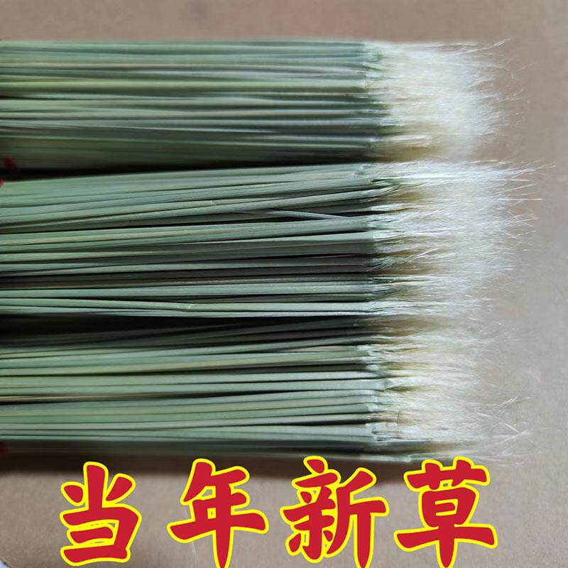 2023年新斗草新青草芡草探子打牙草蟋蟀草蛐蛐草用品蟋蟀用具