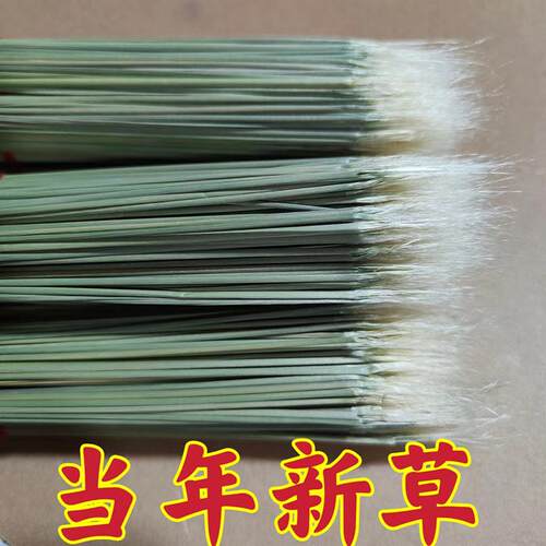 当年蛐蛐开牙蟋蟀开牙草