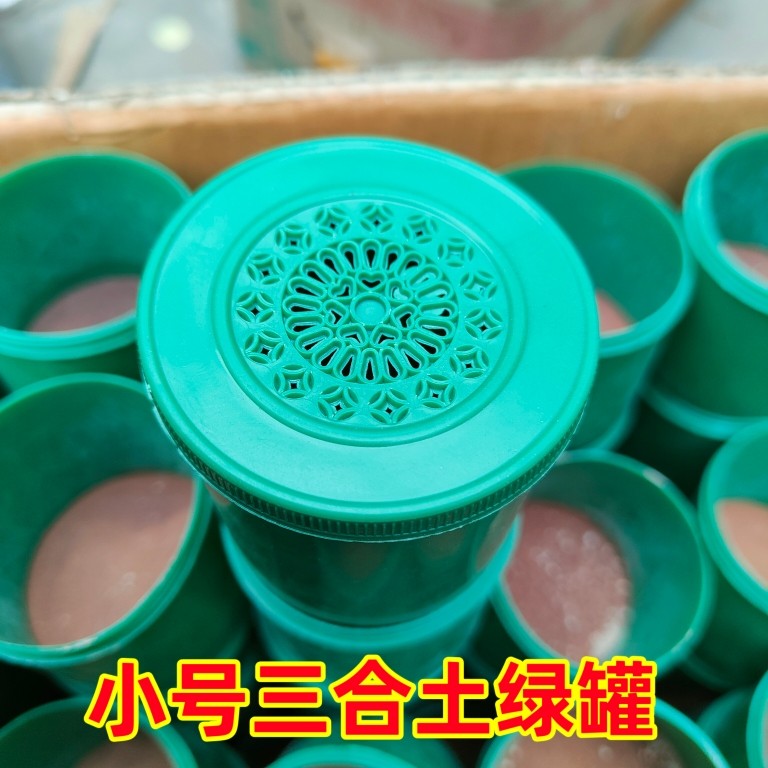 蛐蛐盆蟋蟀罐塑料临时罐塑料带罐三尾塑料罐抓虫带罐蟋蟀用具