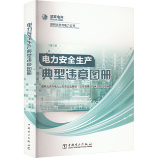电力安全生产典型违章图册 正版书籍 新华书店旗舰店文轩官网 中国电力出版社