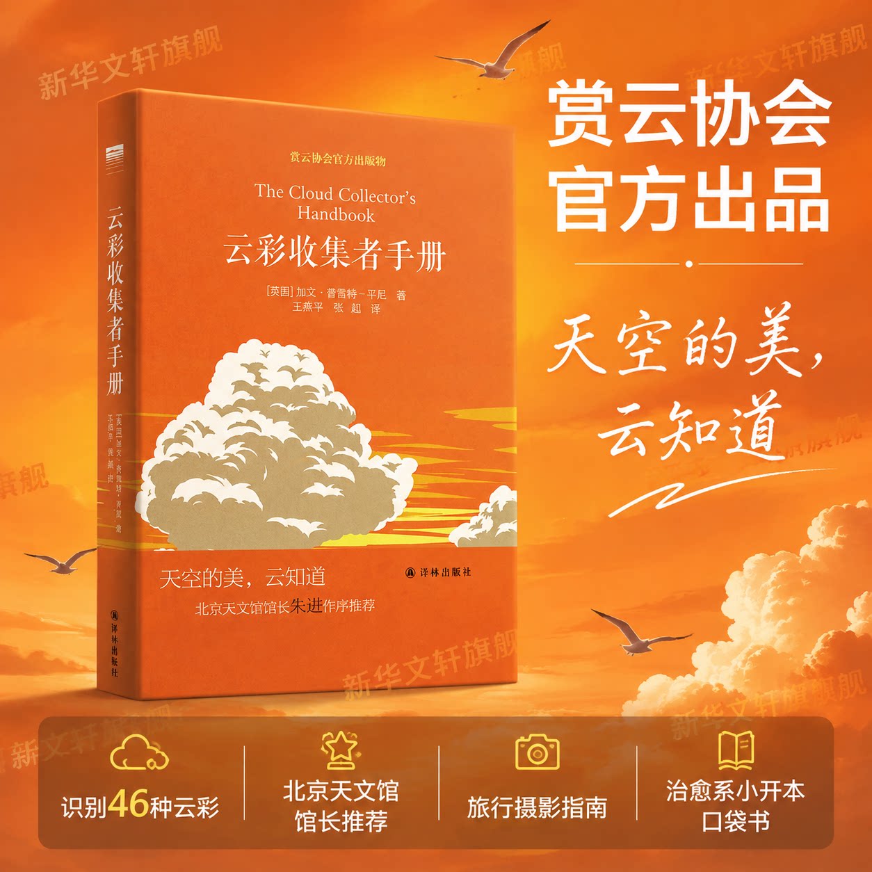 云彩收集者手册 云朵书籍云朵收集者手册观云手册科普书 赏云协会官方科普读物书籍介绍46种云与大气现象全彩图集展示云朵收集正版