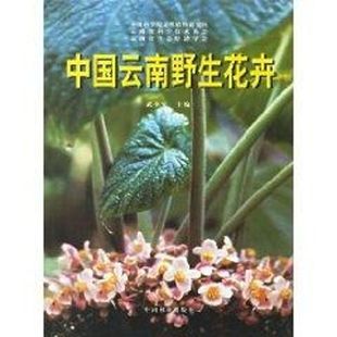 中国云南野生花卉 武全安著 室内设计书籍入门自学土木工程设计建筑材料鲁班书毕业作品设计bim书籍专业技术人员继续教育书籍