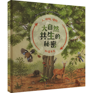 正版 社集团 大自然共生 二十一世纪出版 新华书店旗舰店文轩官网 书籍 伊尔卡·索科洛夫斯 德 秘密 新华文轩