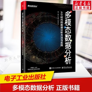 多模态数据分析 AGI时代的数据分析方法与实践 GPT与DeepSeek等大模型的多模态实践分析 Python语言数据分析师算法工程师正版书籍