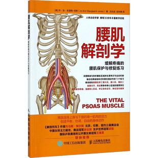 腰肌解剖学 缓解疼痛的腰肌保护与修复练习 健身书籍 运动恢复腰伤矫正体态运动解剖学图谱精准拉伸训练