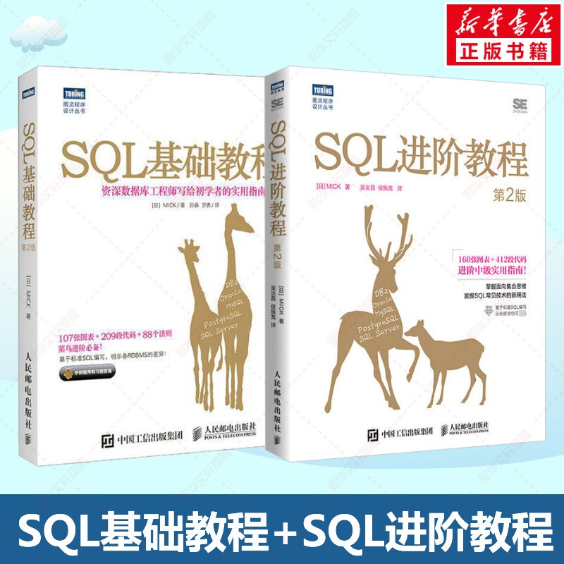 套装2册 SQL基础教程第2版+SQL进阶教程 sql必知必会数据库教程数据分析优化查询注入攻击与防御入门程序设计书籍新华正版书籍