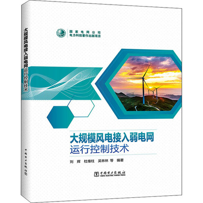 大规模风电接入弱电网运行控制技术 正版书籍 新华书店旗舰店文轩官网 中国电力出版社