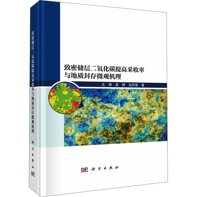 致密储层二氧化碳提高采收率与地质封存微观机理 王琛,高辉,刘月亮 正版书籍 新华书店旗舰店文轩官网 科学出版社