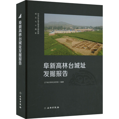 阜新高林台城址发掘报告 文物出版社 正版书籍 新华书店旗舰店文轩官网