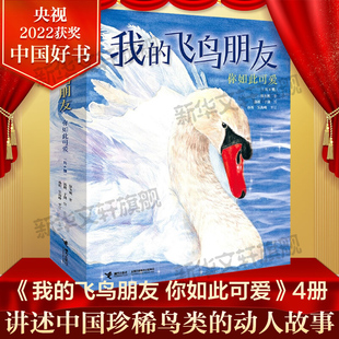 2022年度中国好书保冬妮一起跳舞 火烈鸟相依相守 冠斑犀鸟疣鼻天鹅 我 长耳鸮正版 你如此可爱全4册 新朋友城市里 飞鸟朋友