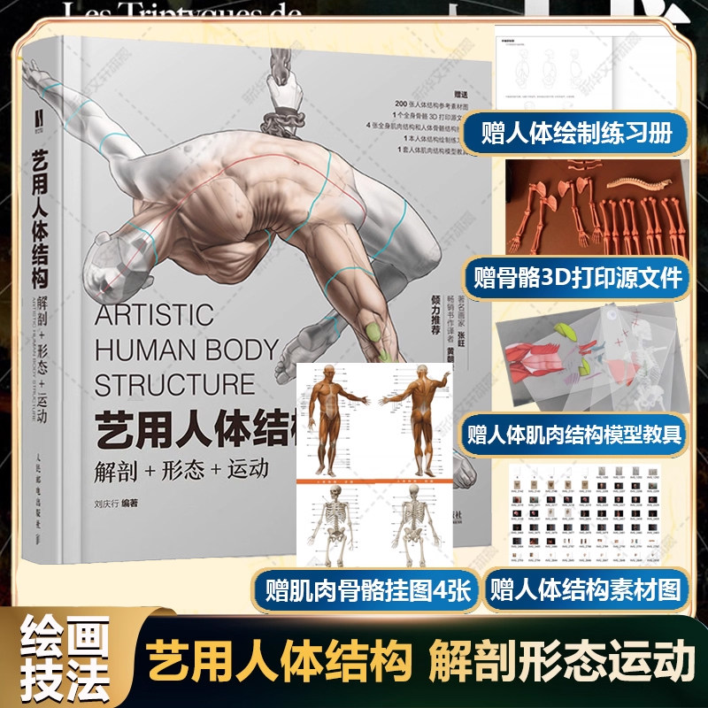 艺用人体结构 解剖形态运动 全彩肌肉结构人体骨骼理解人体形态学画画游戏动漫人物绘画原理教学临摹素材 绘画技法教程书,书籍/杂志/报纸,绘画（新）,淘宝优惠券,粉丝福利购,淘宝优惠卷