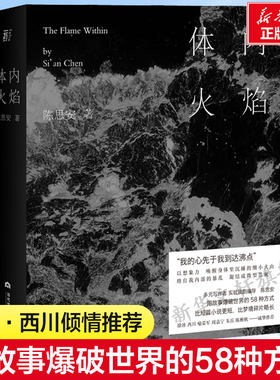 体内火焰陈思安正版书籍小说