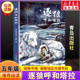 逐狼呼和塔拉 黑鹤著湖南阅美书湘五年级下册寒假共读推荐书目课外阅读故事书籍小学生必读儿童文学动物小说青岛出版社老师正版