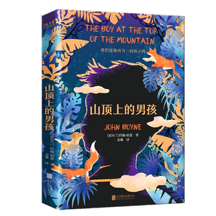 山顶上的男孩(爱尔兰)约翰伯恩著袁琳译文学外国现当代文学北京联合出版公司新华文轩旗舰店正版书籍