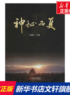 神秘西夏 杜建录 主编 历史书籍 畅销书 中国通史历史类书读本 中国近代史古代史 宁夏人民出版社 新华书店官网正版