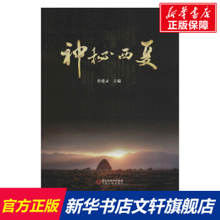 神秘西夏 杜建录 主编 历史书籍 畅销书 中国通史历史类书读本 中国近代史古代史 宁夏人民出版社 新华书店官网正版