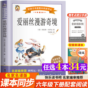 閱讀正版 愛麗絲漫游奇境 快樂讀書吧六年級(jí)下冊(cè)加厚原著完整版 劉易斯卡羅爾好孩子書屋兒童文學(xué)名著故事必小學(xué)生六年級(jí)課外書推薦