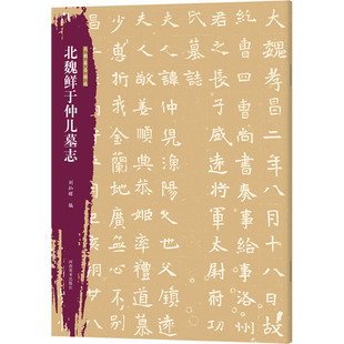 【新华文轩】北朝墓志精选 北魏鲜于仲儿墓志 正版书籍 新华书店旗舰店文轩官网 河南美术出版社