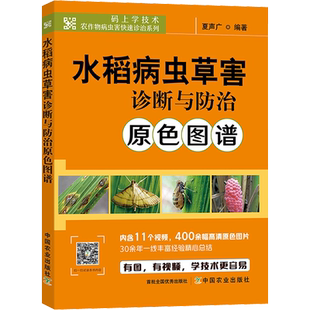 水稻病虫草害诊断与防治原色图谱 水稻栽培种植技术 水稻病虫害防控 稻田农作物病虫害诊治中国农业出版社 正版果蔬栽培种植业