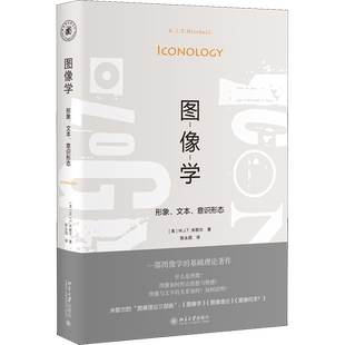 图像学 形象、文本、意识形态 (美)W.J.T.米歇尔 北京大学出版社 正版书籍 新华书店旗舰店文轩官网