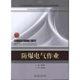 防爆电气作业 吴炳辉 著 正版书籍 新华书店旗舰店文轩官网 东南大学出版社