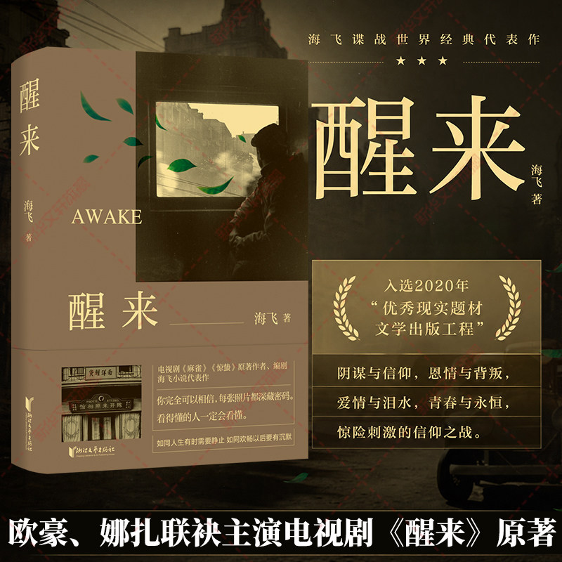 醒来 海飞谍战代表作 欧豪古力娜扎冯绍峰主演同名电视剧原著小说 阴谋与信仰恩情与背叛爱情与泪水青春与永恒惊险刺激的信仰之战
