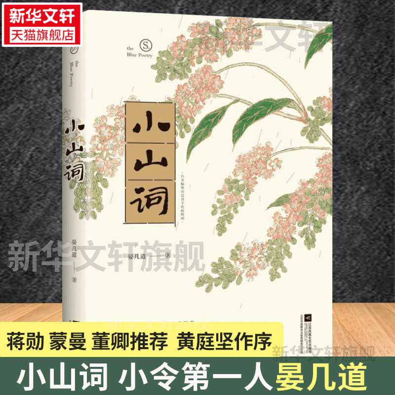 【蒋勋推荐】小山词晏几道著黄庭坚作序经典宋词读本古诗词中国诗词大会喜爱词人暑期初中七八九年级建议课外读物诗词书籍正版-封面