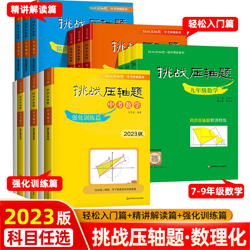 2023新版 挑战压轴题中考数学 轻松入门篇 精讲解读篇 强化训练篇 初三物理化学中考总复习资料 初中七八九年级必刷题专项分类试卷