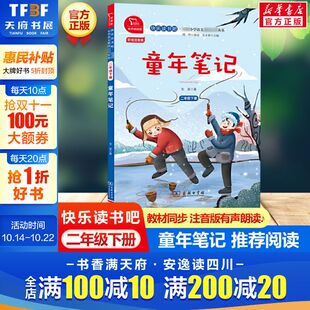 彩绘注音版 玩具快乐读书吧二年级下册 有声朗读版 教材同步小学生一二三年级课外书推荐 童年笔记 带拼音童话故事书正版 一起长大
