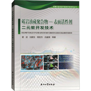 砾岩油藏聚合物—表面活性剂二元驱开发技术 霍进 等 正版书籍 新华书店旗舰店文轩官网 石油工业出版社