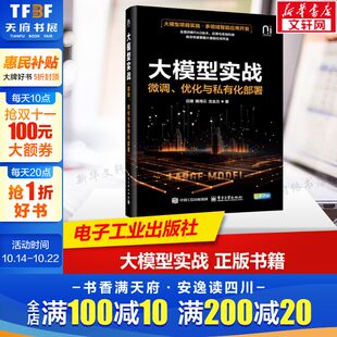 多领域智能应用开发 大模型应用开发实战 RAG技术应用与系统构建 庄建 书籍 大模型实战：微调 正版 优化与私有化部署