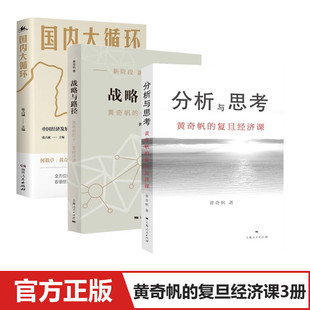 战略与路径 分析与思考 复旦经济课 套装 阐述新发展格局下中国经济走向经济学书籍 黄奇帆 3册 中国经济发展新格局 国内大循环