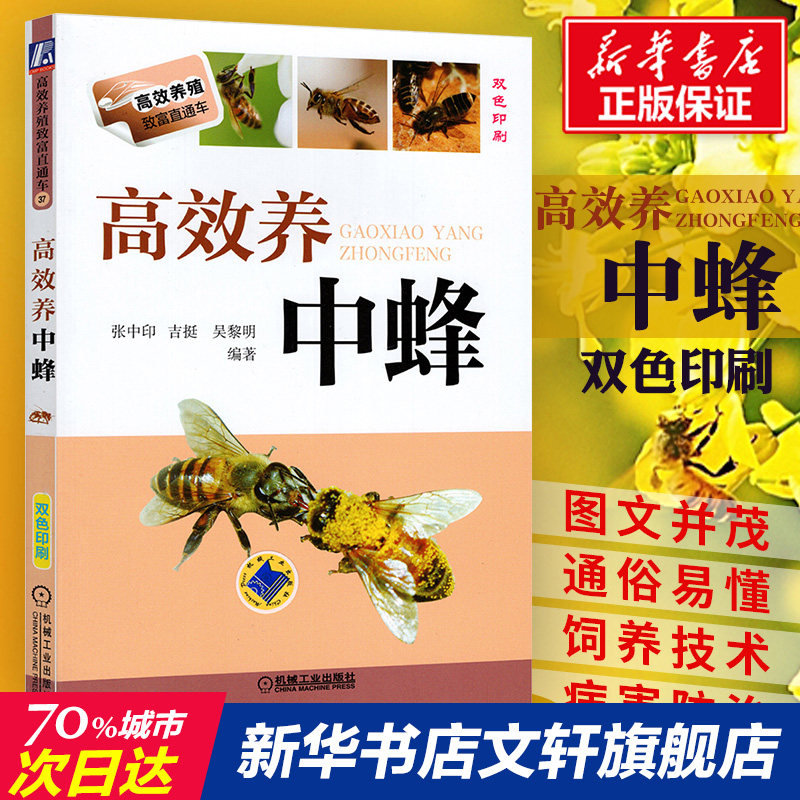 高效养中蜂蜜蜂养殖技术书籍养蜂书籍实用手册中华蜂土蜂中蜂饲养新技术书农业科学养殖技术养蜜蜂技术蜜蜂养殖大全书籍养蜂正版书
