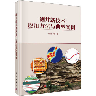 正版 等 书籍 新华书店旗舰店文轩官网 社 测井新技术应用方法与典型实例 科学出版 刘国强
