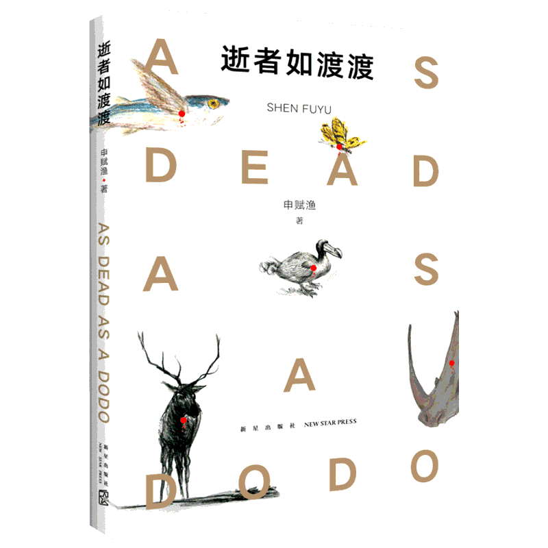逝者如渡渡 申赋渔 著  新闻出版总署推 荐图书 冰心奖 朱赢椿设计 动物保护读物 小学四五六年级课外阅读 7-10-12-14周岁
