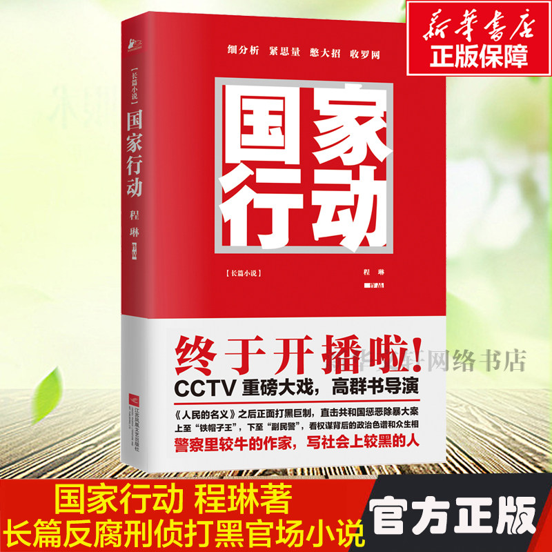 【正版包邮】国家行动 程琳著 张译主演同名电视剧原著小说长篇反腐刑侦 人民的名义天局同类 官场小说现当代文学畅销书籍排行榜怎么样,好用不?