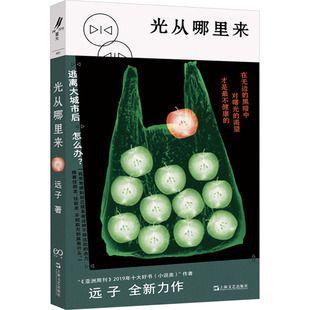 【新华文轩】光从哪里来 远子 正版书籍小说畅销书 新华书店旗舰店文轩官网 上海文艺出版社