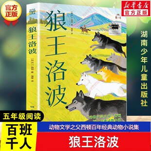 新华文轩】狼王洛波 百班千人五年级必读课外书籍动物文学之父西顿百年经典动物小说集儿童文学小学生阅读书籍湖南少年儿童出版社