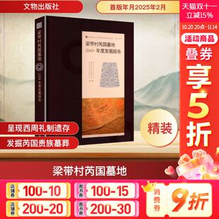 2009年度发掘报告 书籍 文物出版 正版 新华书店旗舰店文轩官网 社 梁带村芮国墓地