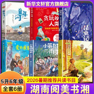 湖南阅美书湘2026年暑假五升六年级必课外阅读书小英雄雨来童年爱的教育贪玩的人类写给孩子的科学史昆虫记叶片下的奇妙王国童年河