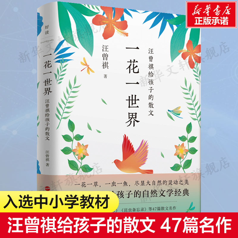 一花世界汪曾祺孩子散文人间草木