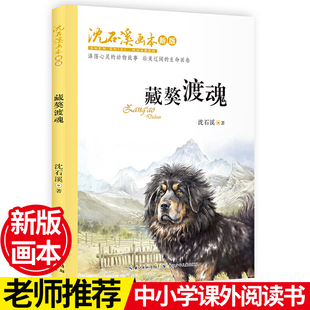 【新华文轩】沈石溪画本 藏獒渡魂新版一部野性藏獒的驯化史动物异族细腻亲情荡心灵的动物故事壮美宏阔的生命画卷课外阅读推荐