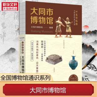新华书店 大同市博物馆让文物说话将博物馆带回家全国博物馆通识系列一本博物馆历史文化传承文化科普 文明考古揭秘四川人民出版社